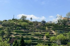 英超水晶宫不败传奇挑战利物浦：球队实力对决巅峰之战